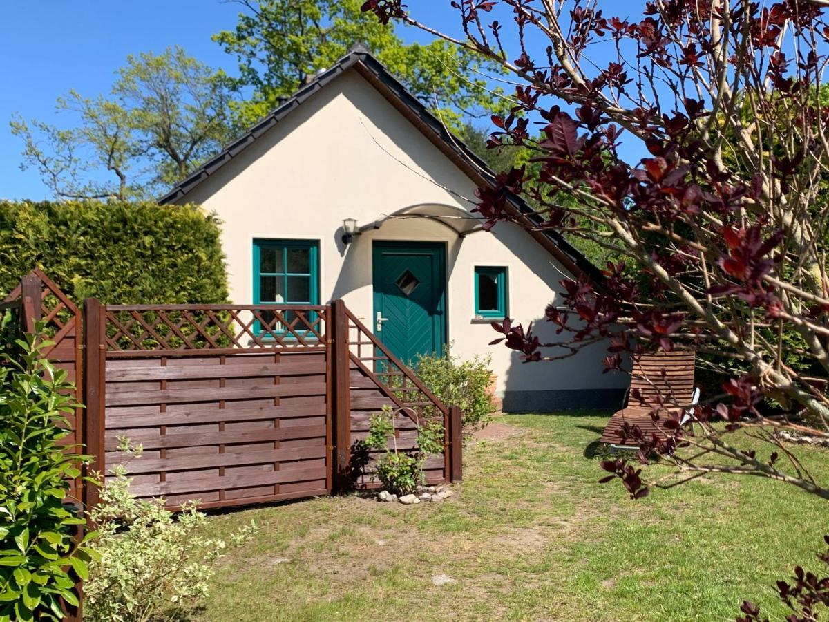 „Rentmeisterhaus Basedow“ Basedow  Kültér fotó