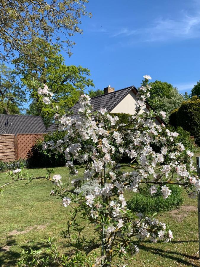 „Rentmeisterhaus Basedow“ Basedow  Kültér fotó
